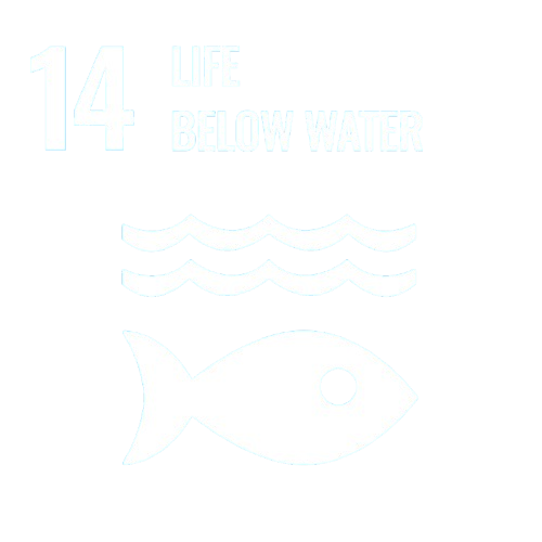 SDG 14 Life Below Water